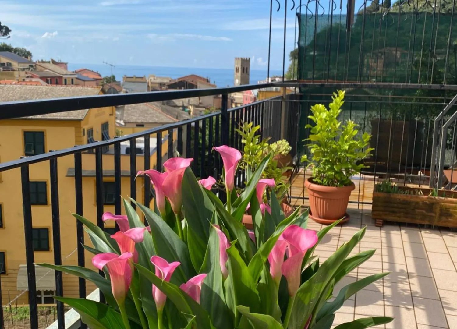 La Terrazza Di Monterosso Apartment Monterosso al Mare